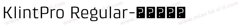 KlintPro Regular字体转换